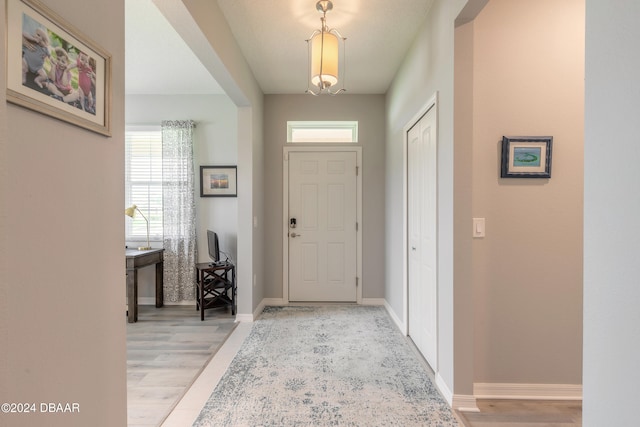 foyer featuring light wood-style floors, plenty of natural light, and baseboards