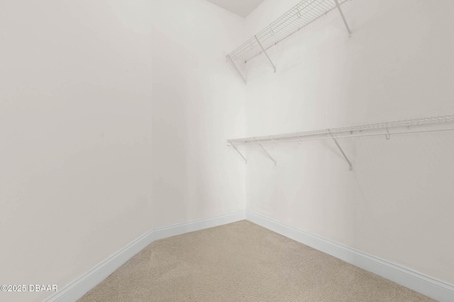 231 Riverside Dr Unit 304-1, Daytona Beach, FL 32117 - bedroom featuring light carpet, baseboards, access to exterior, and visible vents