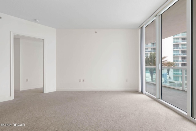 carpeted spare room with expansive windows and baseboards