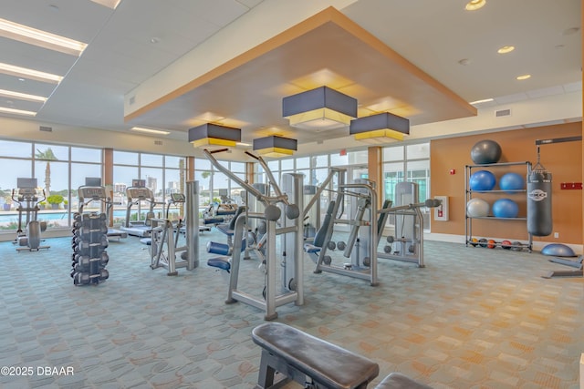 exercise room with carpet, visible vents, and baseboards