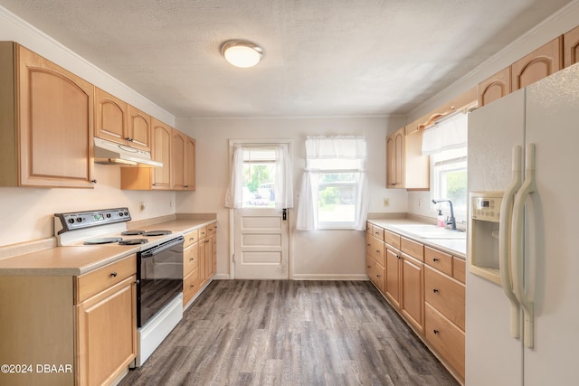 kitchen with sink, white appliances, dark wood-type flooring, light brown cabinets, and a textured ceiling