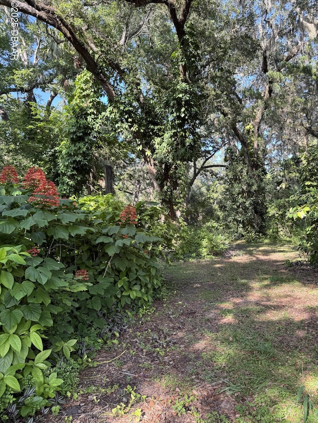 0 Jackson St, Port Orange, FL 32129 - photo 1