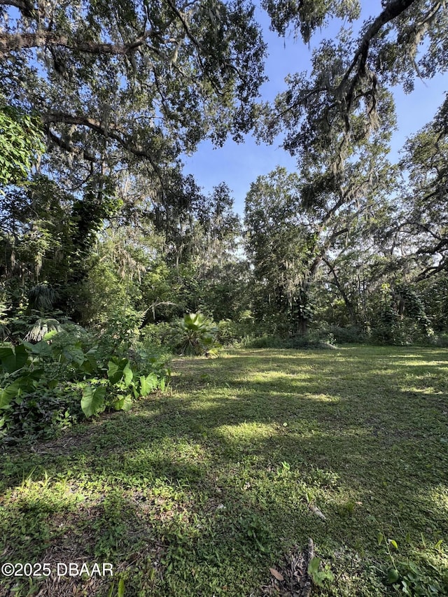 0 Jackson St, Port Orange, FL 32129 - photo 10