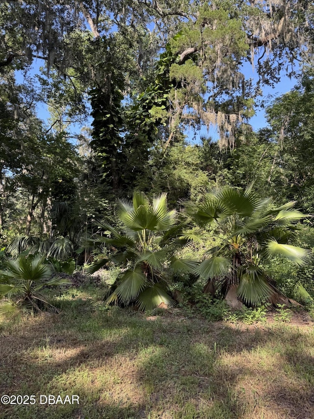 0 Jackson St, Port Orange, FL 32129 - photo 13