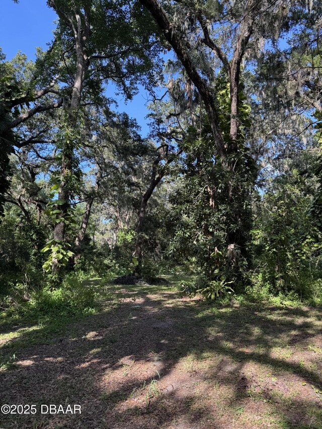 0 Jackson St, Port Orange, FL 32129 - photo 5