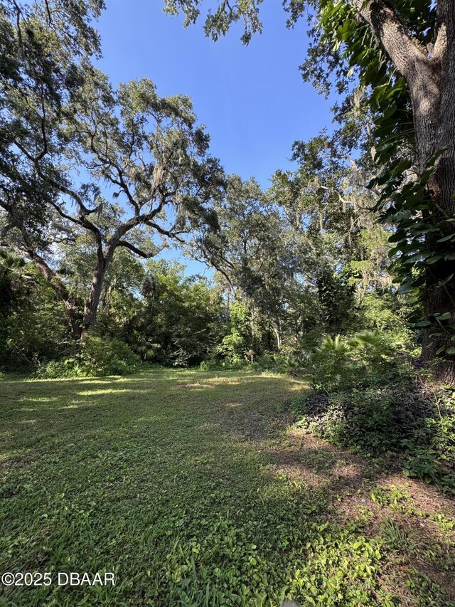 0 Jackson St, Port Orange, FL 32129 - photo 12