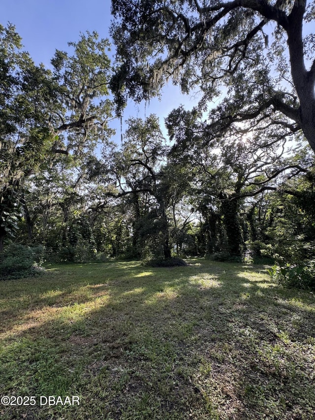 0 Jackson St, Port Orange, FL 32129 - photo 8