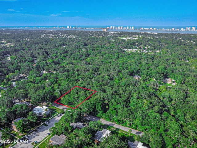 0 Jackson St, Port Orange, FL 32129 - photo 15