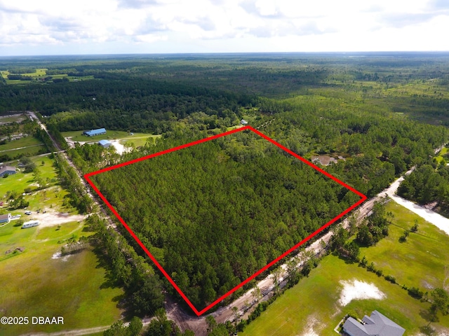 0 Natalies Ln, Ormond Beach, FL 32174