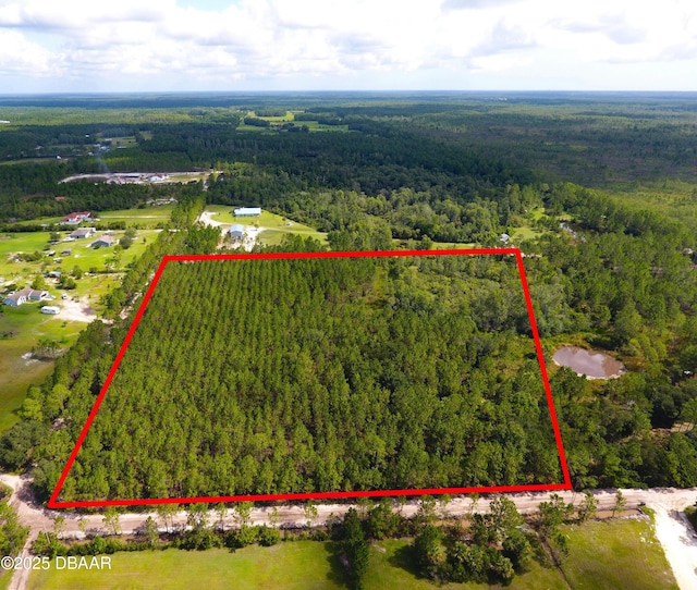 0 Natalies Ln, Ormond Beach, FL 32174