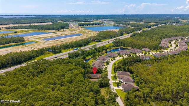 684 Aldenham Ln, Ormond Beach, FL 32174 - aerial perspective of suburban area featuring a large body of water and a heavily wooded area
