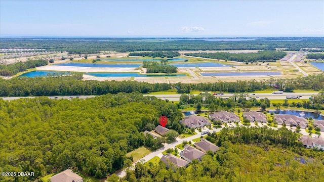 684 Aldenham Ln, Ormond Beach, FL 32174 - drone / aerial view of a large body of water