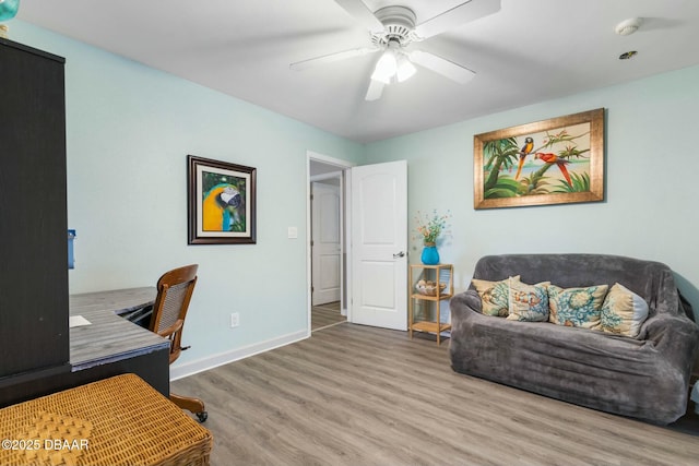 home office featuring ceiling fan and light wood-type flooring