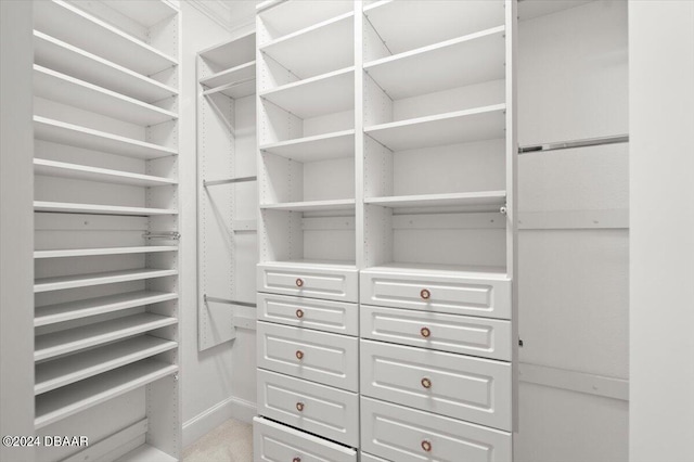 spacious closet with light colored carpet