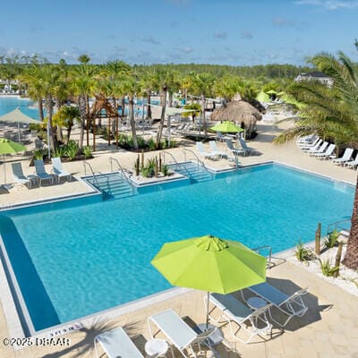 view of pool featuring a patio