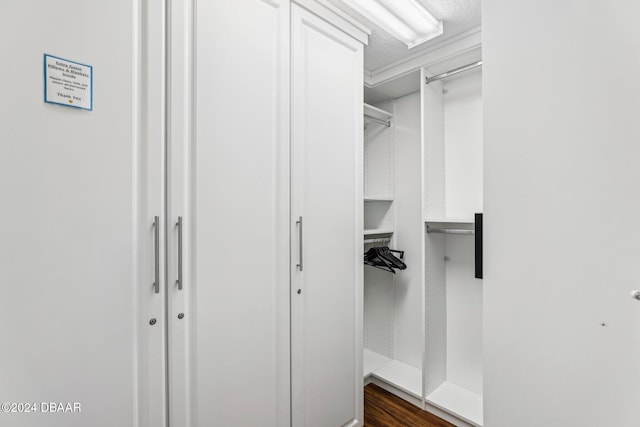 spacious closet with dark hardwood / wood-style flooring