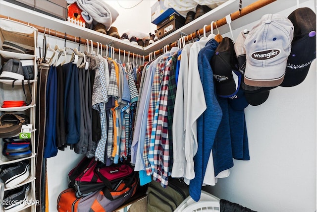 view of spacious closet