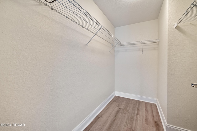 walk in closet featuring hardwood / wood-style floors