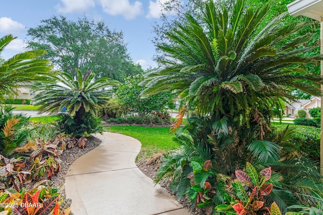 67 Kingsley Ln, Ormond Beach, FL 32174 - view of property's community