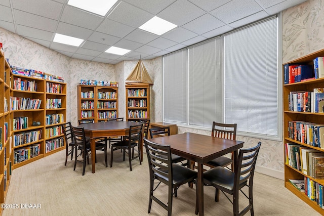 carpeted dining area featuring a drop ceiling and wallpapered walls