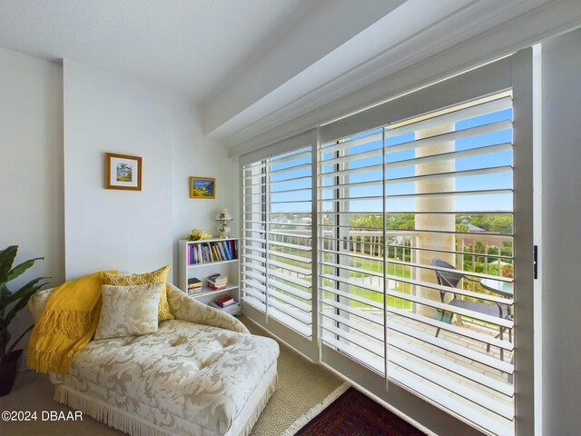 sitting room featuring carpet and plenty of natural light