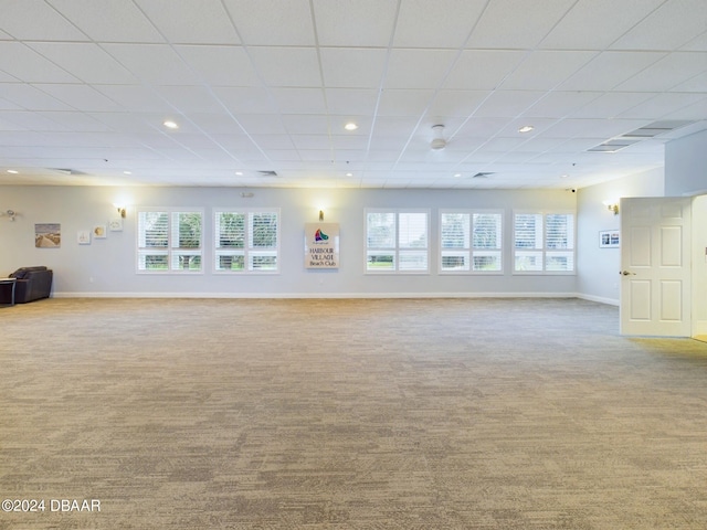 carpeted empty room featuring a drop ceiling and a healthy amount of sunlight