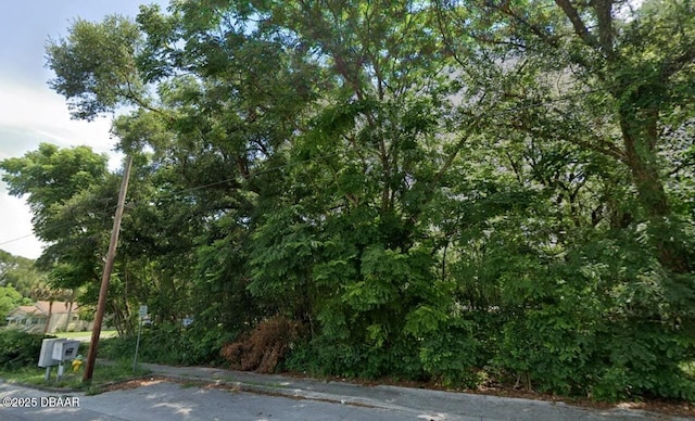 TBD S Adelle Ave, Deland, FL 32720 - photo 2