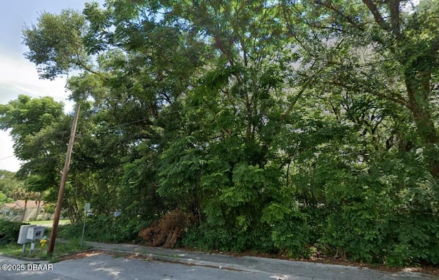 TBD S Adelle Ave, Deland, FL 32720 - photo 4