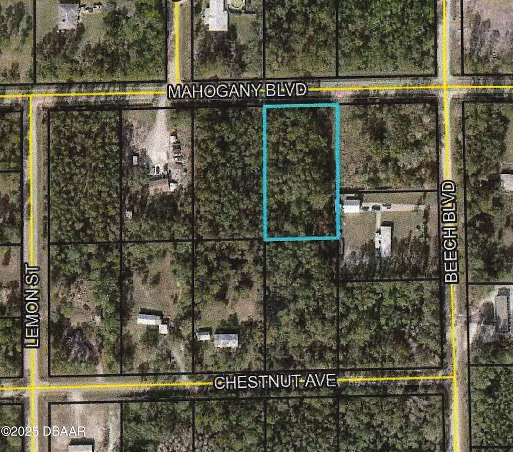 5527 Mahogany Blvd, Bunnell, FL 32110