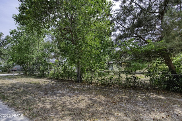 1420 Carol Lee St, Daytona Beach, FL 32117 - view of yard