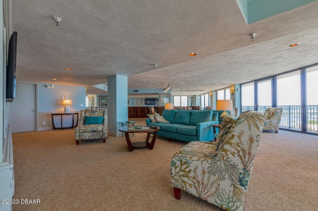 carpeted living room with a wall of windows and a textured ceiling