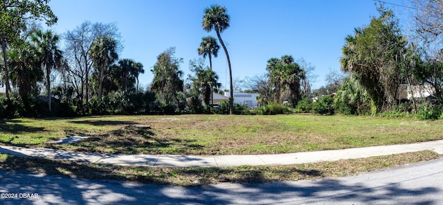 528 Elm St, Daytona Beach FL, 32114 land for sale