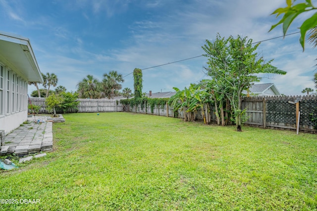 25 Dolphin Ave, Ormond Beach, FL 32176 - view of yard