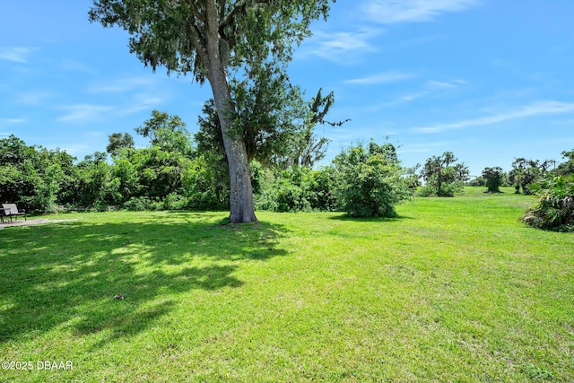 22 N St Andrews Dr, Ormond Beach, FL 32174 - view of grassy yard