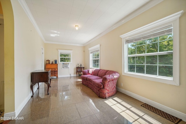 living area featuring ornamental molding