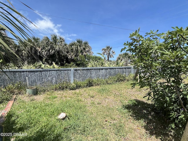 2944 Ocean Shore Blvd, Ormond Beach, FL 32176 - view of yard with fence