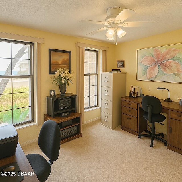 2944 Ocean Shore Blvd, Ormond Beach, FL 32176 - office space featuring healthy amount of natural light, light colored carpet, a ceiling fan, baseboards, and a textured ceiling