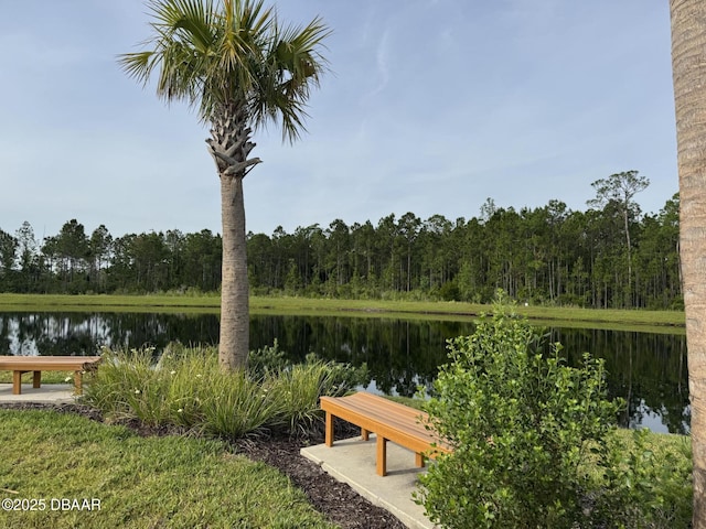 168 Ocean Hammock Loop, Daytona Beach, FL 32124 - view of yard with a water view and a view of trees