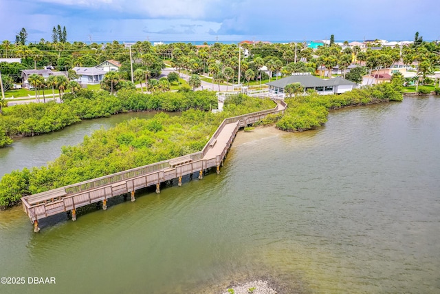 4026 Cardinal Blvd, Wilbur-By-The-Sea, FL 32127 - bird's eye view of a large body of water and a tree filled landscape