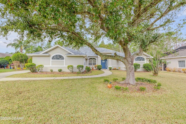 single story home featuring a front lawn