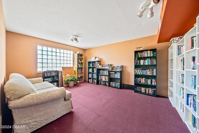 sitting room featuring carpet and a textured ceiling