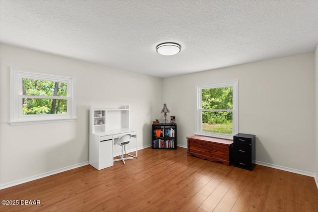 2455 Whooping Crane Dr, Deleon Springs, FL 32130 - office area with wood finished floors and a textured ceiling