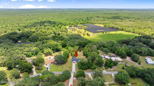 2455 Whooping Crane Dr, Deleon Springs, FL 32130 - aerial view of property's location featuring a heavily wooded area