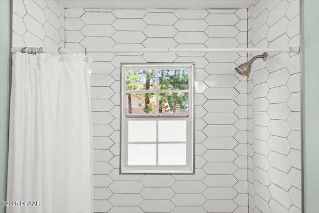 2455 Whooping Crane Dr, Deleon Springs, FL 32130 - full bathroom featuring a shower stall