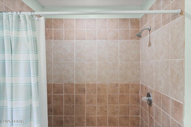 2455 Whooping Crane Dr, Deleon Springs, FL 32130 - full bathroom with a tile shower