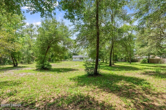 2455 Whooping Crane Dr, Deleon Springs, FL 32130 - view of yard