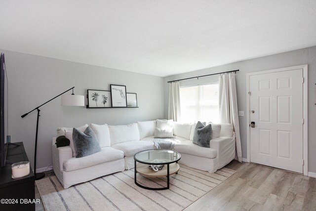 living room with light hardwood / wood-style flooring