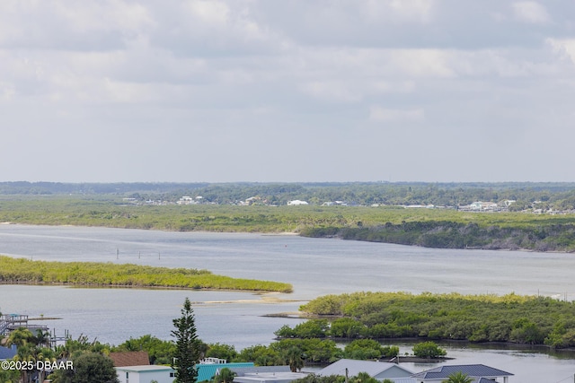 3721 S Atlantic Ave Unit 1101, Daytona Beach Shores, FL 32118 - water view with a forest