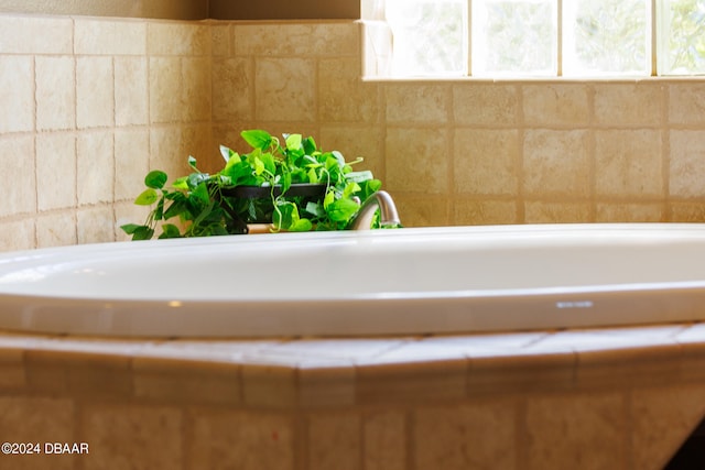 bathroom featuring a wealth of natural light