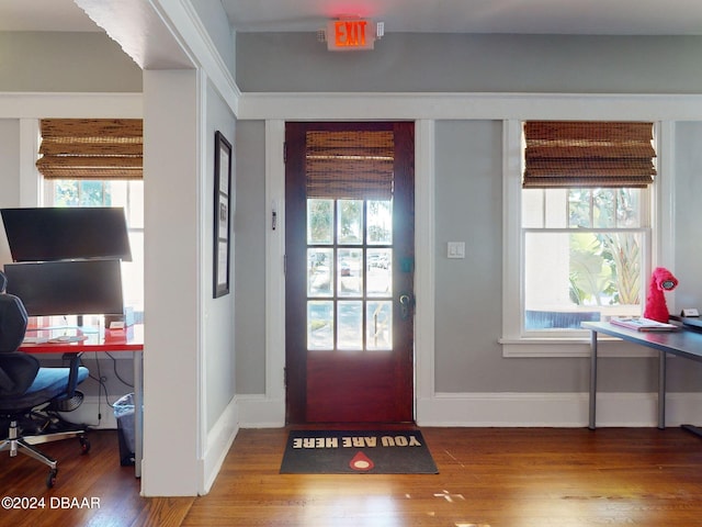 entryway featuring a healthy amount of sunlight and wood-type flooring